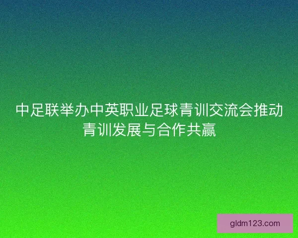 中足联举办中英职业足球青训交流会推动青训发展与合作共赢