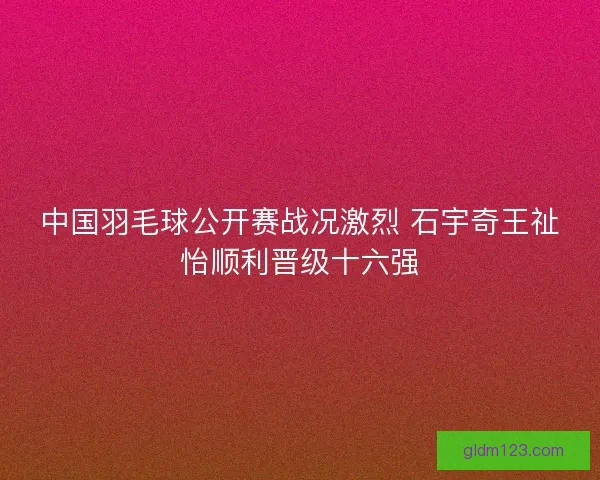 中国羽毛球公开赛战况激烈 石宇奇王祉怡顺利晋级十六强